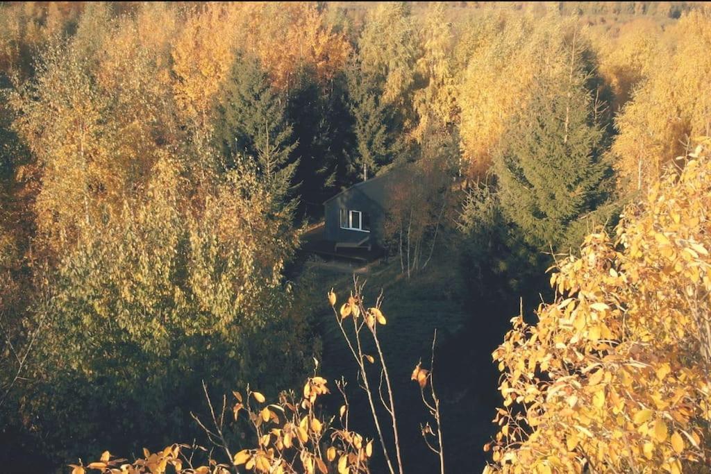 Hand Made Off Grid Forest Luna Chalet Luksine